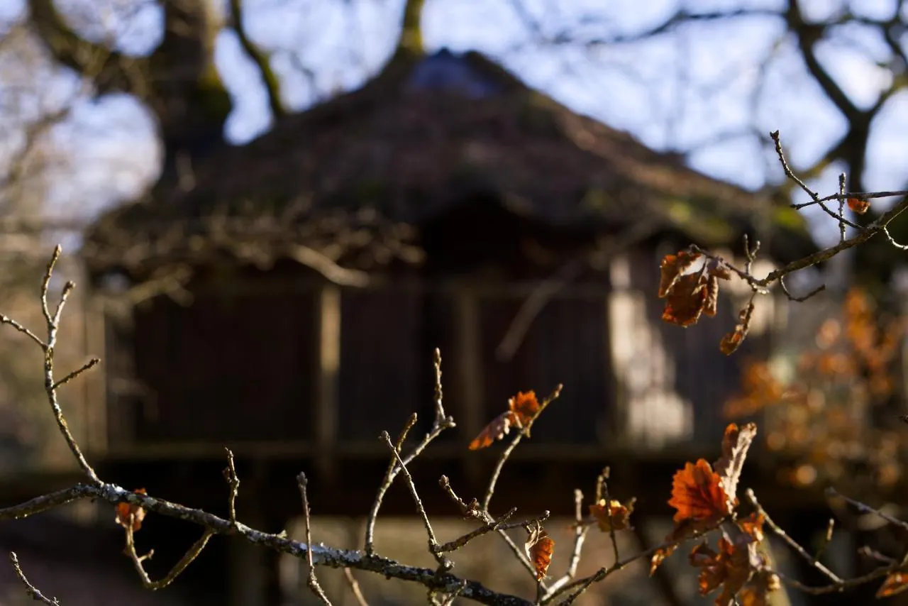 Les Cabanes De Brassac Brassac  Brassac (Tarn-et-Garonne)